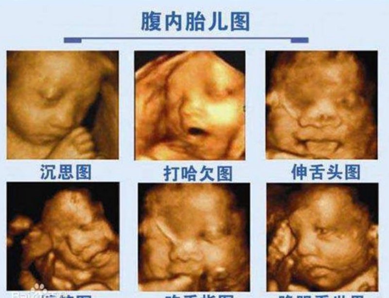 厦门阳光医院的创办者是谁?这家在当地享有盛誉的医疗机构背后,有着怎样的故事呢?让我们一同揭开谜底。